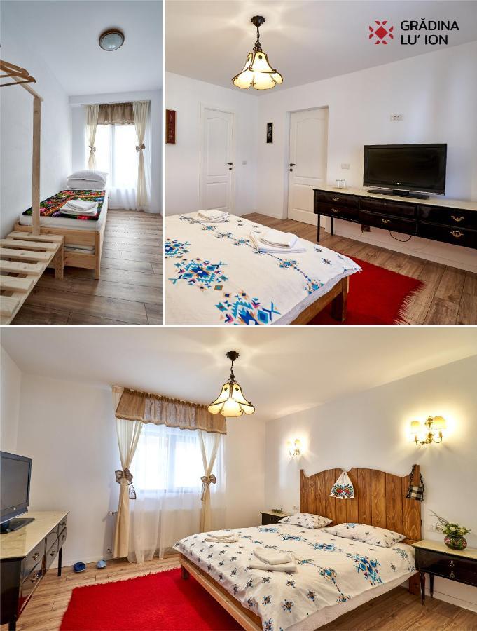 Gradina Lu' Ion "A Home Away From Home" (Adults Only) Viseu de Sus Ngoại thất bức ảnh