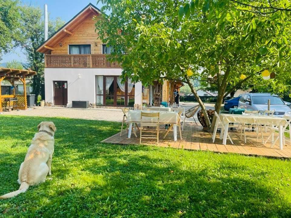 Gradina Lu' Ion "A Home Away From Home" (Adults Only) Viseu de Sus Ngoại thất bức ảnh
