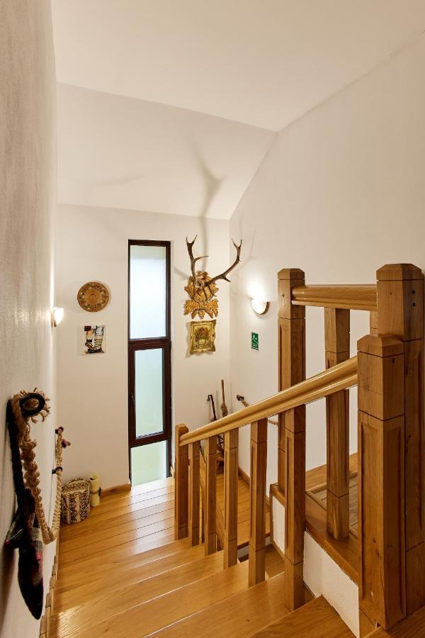 Gradina Lu' Ion "A Home Away From Home" (Adults Only) Viseu de Sus Ngoại thất bức ảnh
