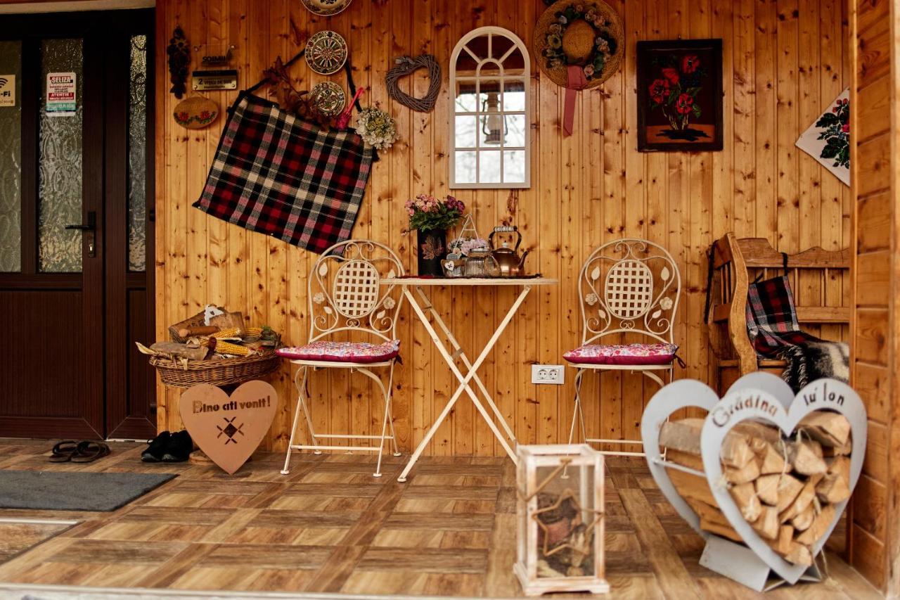 Gradina Lu' Ion "A Home Away From Home" (Adults Only) Viseu de Sus Ngoại thất bức ảnh